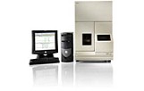 ABI PRISM 310 Genetic Analyzer